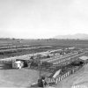 feed-lot-aerial-1953