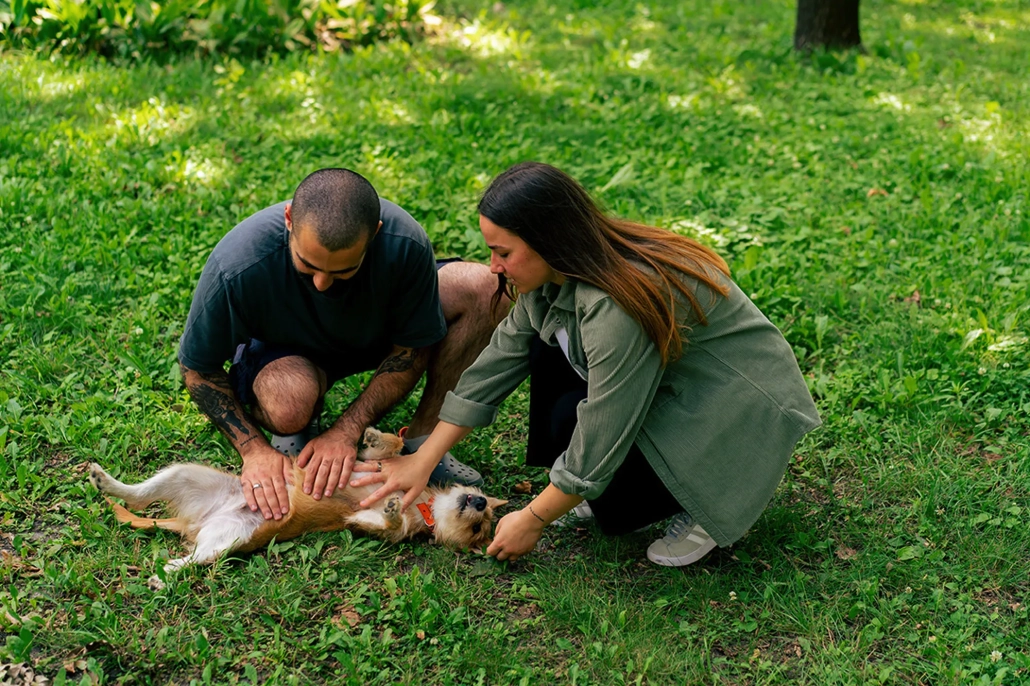 A guide on how to perform Pet CPR