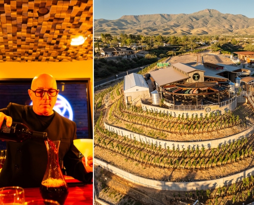 Maynard Keenan, Lead Singer for Tool, and owner of Merkin Vineyards in Old Town Cottonwood