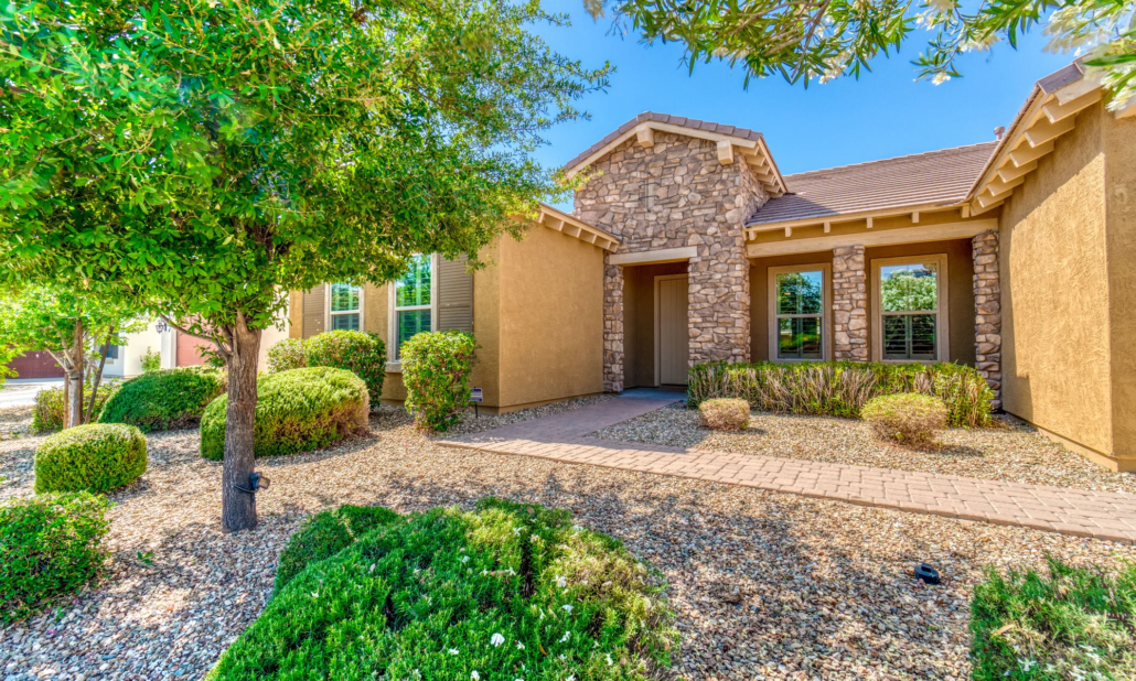 Desert Landscaping That Thrives in March
