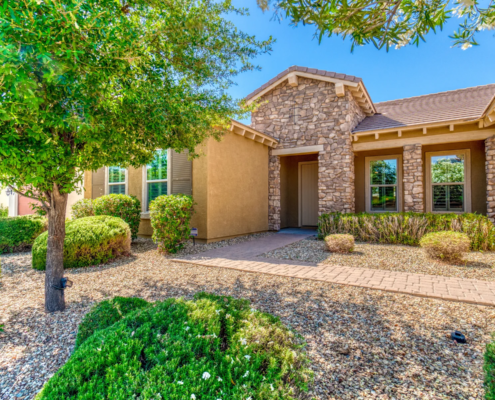 Desert Landscaping That Thrives in March