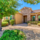 Desert Landscaping That Thrives in March