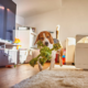Summer-Ready Pets